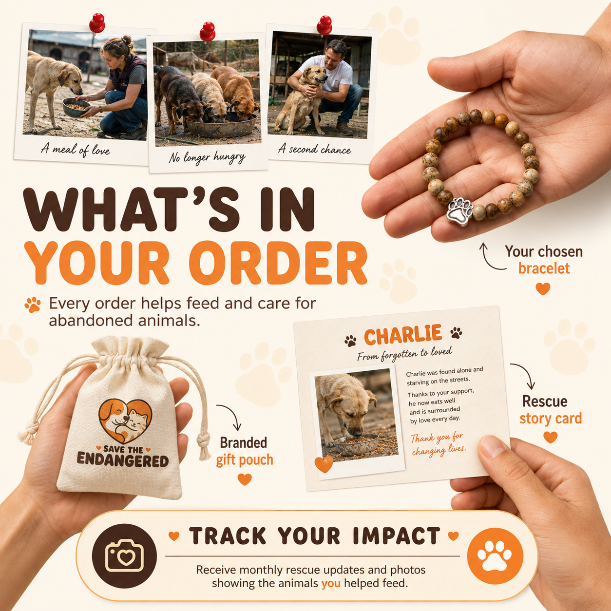 Save The Endangered Bracelet